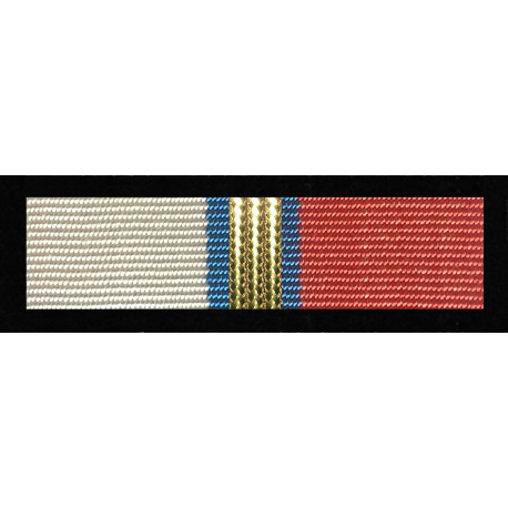 Medal Za Zasługi dla Ligi Obrony Kraju - Złoty (nr prod. 66 zł)