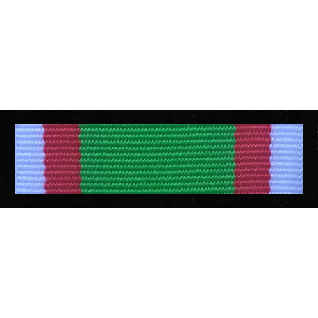 Medal Zarządu Oddziałowego NSZZ FSG przy Warmińsko-Mazurskim Oddziale SG-100 lecia odzyskania niepodległości. (nr prod. 101E)
