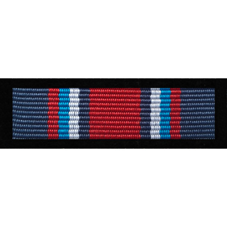 Baretka Medal Za Zasługi Dla Związku Zawodowego Strażaków Państwowej Straży Pożarnej "FLORIAN"  (nr prod 103)