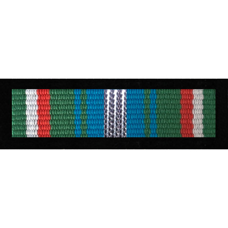 Baretka Odznaka "Zasłużony dla Służby Celnej"-srebrna (nr prod. 113sr)