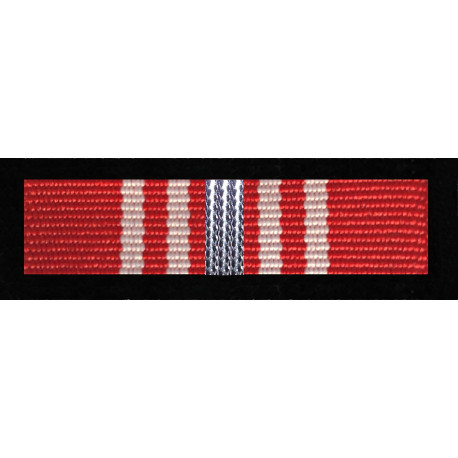 Baretka Medal Opiekuna Miejsc Pamięci Narodowej - Srebrny (nr prod. 123 sr)