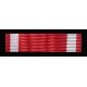 Baretka Medal Dancon March - Afganistan  (nr prod 51E)