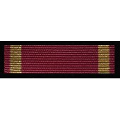 Baretka Złoty Medal Zasługi Klubu - Policyjny Klub Sportowy MAZURY  (prod. nr 143)