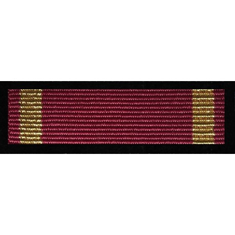 Baretka Złoty Medal Zasługi Klubu - Policyjny Klub Sportowy MAZURY  (prod. nr 143)